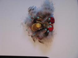 broche-boutons-plumes1.jpg