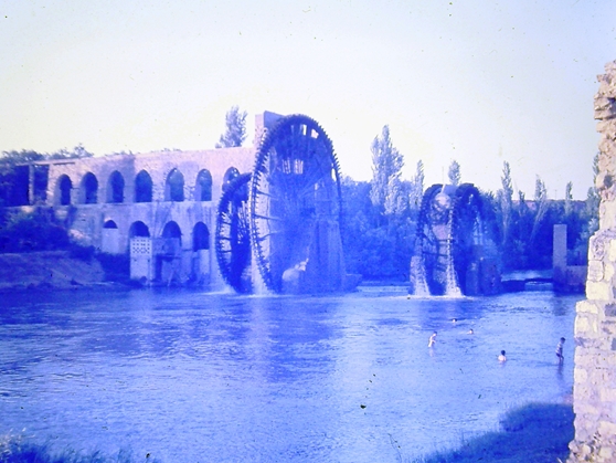 Hama5 1976